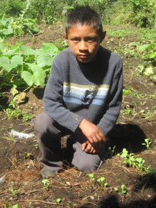 A boy crouches in the middle of a dirt field with budding plants. he is wearing dark, full length clothing and looking seriously at the camera