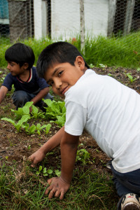 two children kneel in a garden. the one closest to us is wearing a white t shirt, looking over his shoulder, and smiling.