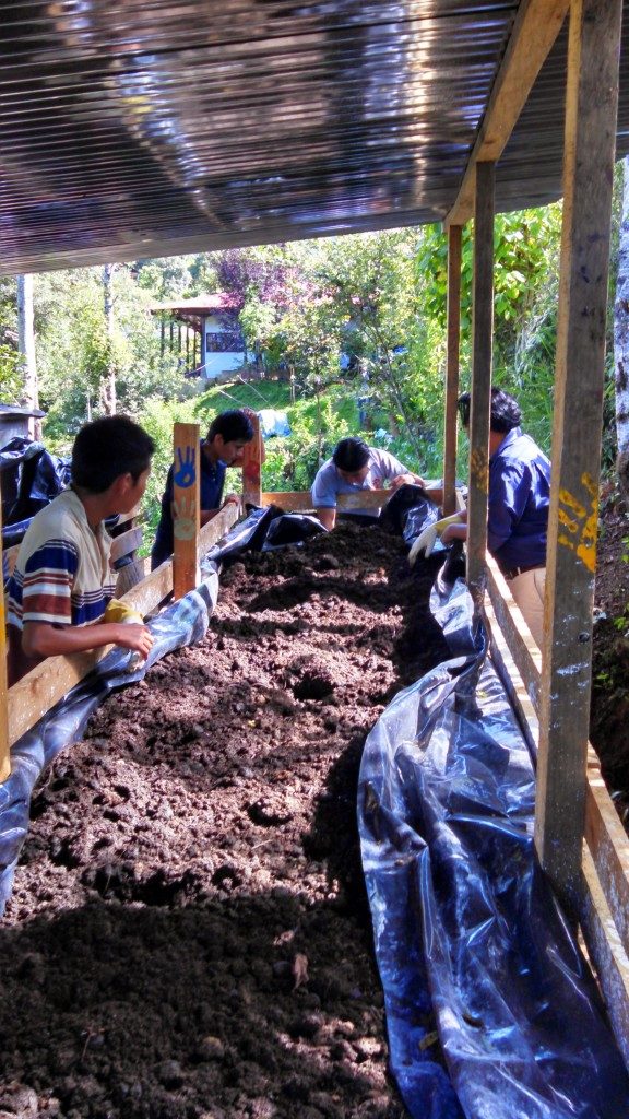 A perspective shot of a long rectangular compost bin shows four people on the far end of it, working and reaching into the dirt.